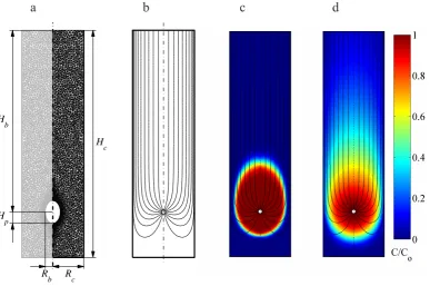 Fig. 2.��(d) steady-state concentration pattern of oxygen. Concentrations are expressed relative to the constant concentration in the overlying water (b) Model [1]: lugworm bio-irrigation in a laboratory core set-up