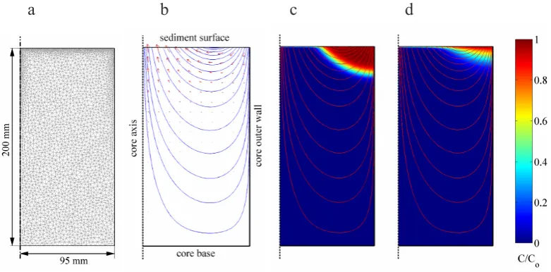 Fig. 4. Model [3]: pore water ﬂow induced in a stirred benthic chamber.��������� (a) geometry of the sediment domain and the ﬁnite elementdiscretization; (b) ﬂow line pattern; (c) bromide concentration pattern after 12 h of incubation with the rotation spe