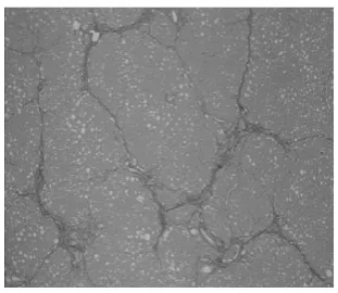 Fig-4.8: Contrast enhanced image 