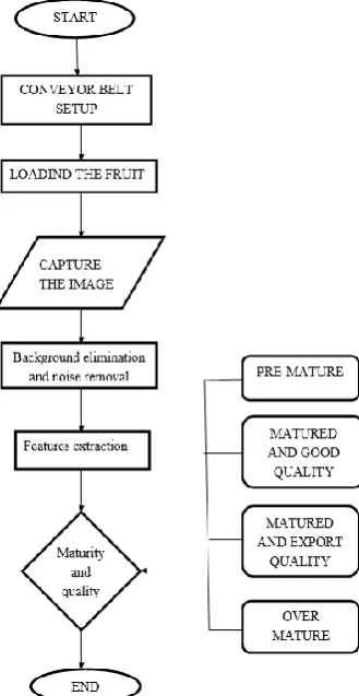 Fig 1 Block Diagram of Citrus Classification 