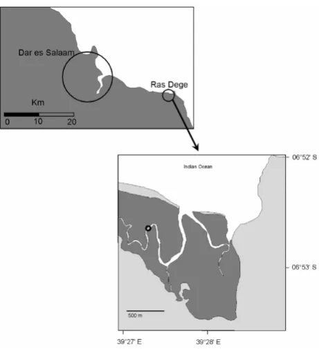 Fig. 1.  Location of the study area and the sampling site, indicated bythe circle in the lower panel