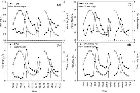 Figure 3  Tidal variations of water height and
