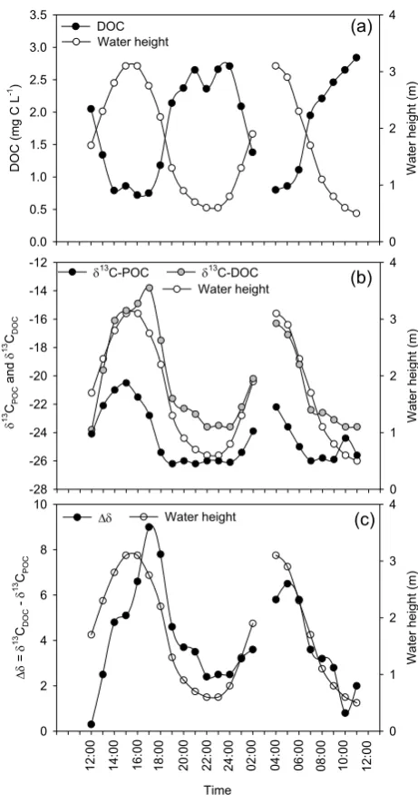 Fig. 4.Figure 4  Tidal variations of water height and (a) dissolved organiccarbon concentrations, (b) carbon stable isotope signatures in par-ticulate and dissolved organic carbon, and (c) the difference in δ13Cbetween DOC and POC.