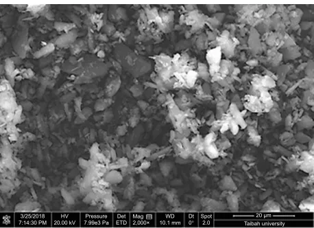 Figure 2 seM micrograph of unprocessed gBD particles.Abbreviations: GBD, glyburide; SEM, scanning electron microscopy.