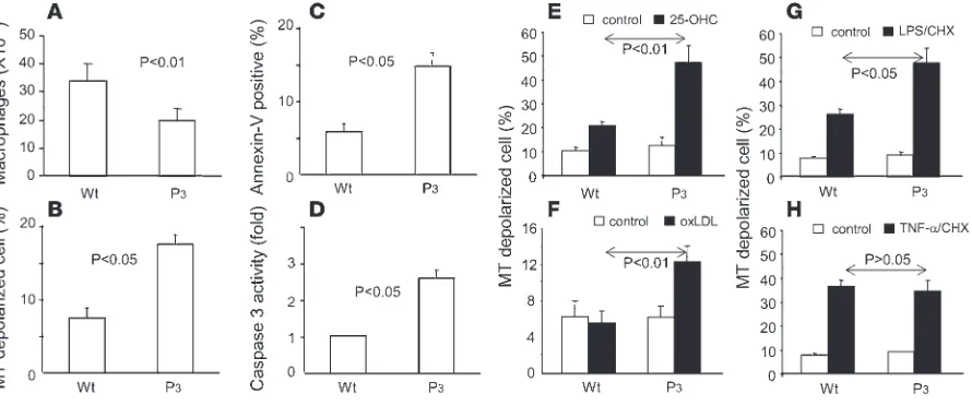 Figure 2PLC 3 deficiency leads to an increased sensitivity of macrophages to apoptosis induction