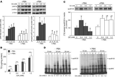 Figure 9Treatment of McA cells with PBA inhibits ER stress and restores OA stimulation of apoB100 secretion