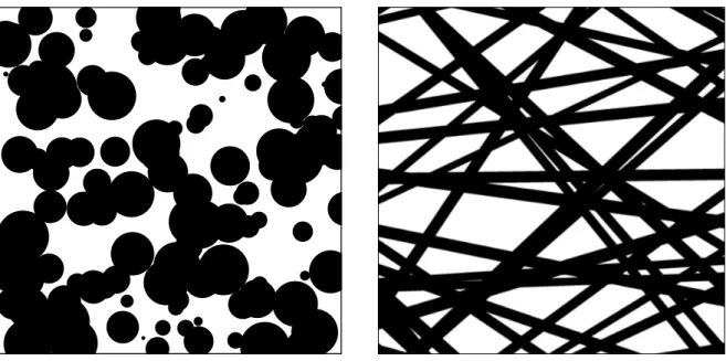 Figure 1: Realization of a 2D-Boolean model with discs