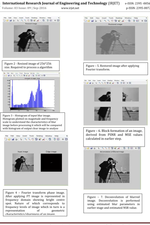 Figure 2 - Resized image of 256*256 