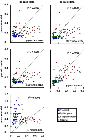 Fig. 2. Comparison of pe-ratios computed by the model and the data