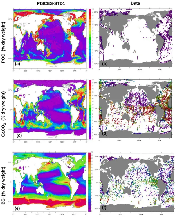 Fig. 4. Modelled and observed bulk composition (%-dry weight) of surface sediments: POC, CaCO 3 , BSi