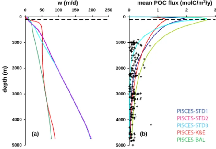 Fig. 7. Changes in NO 3 concentrations (µmol/l) after 100 years of integration relative to the reference version PISCES-STD1