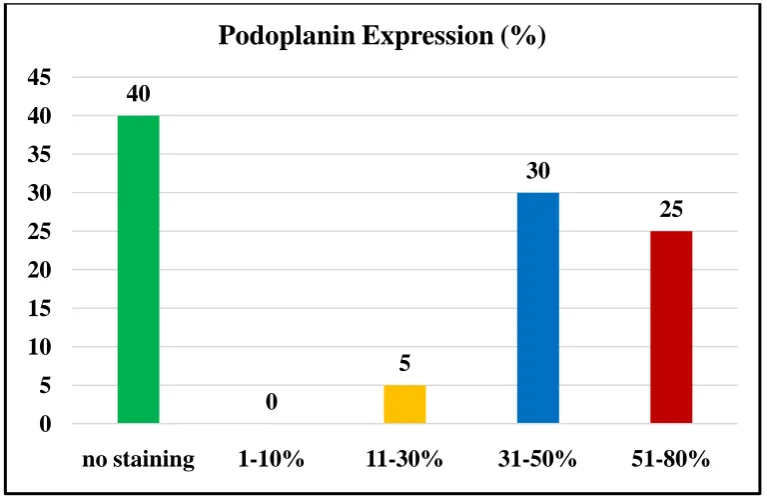 Figure 3.4 Percentage of podoplanin expression in OSCC patients 