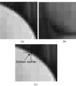 Fig 1. Typical blocking artifacts of JPEG decompressed images. (a) Staircase noise. (b) Grid noise