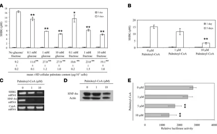 Figure 6Increased palmitate levels in HepG2 cells as a result of monosaccharide or palmitoyl-CoA supplementation reduce HNF-4