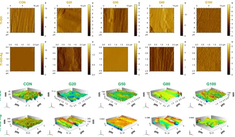 Figure 1 aFM images showing specimens surface topography.Note: Yellow represents the 2-dimensional appearance of specimen’s surface; green represents the 3-dimensional appearance of specimen’s surface.Abbreviations: aFM, atomic force microscope; cON, control.