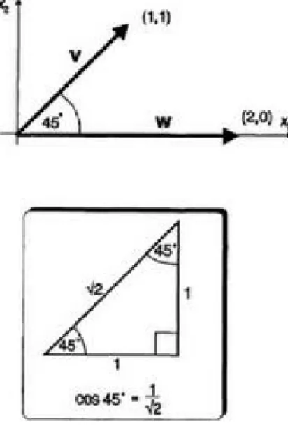 Figure  3.12 Vectors at 45°.