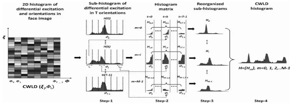 Figure 5: Describes the Steps of MCWLD  