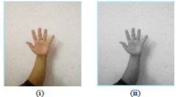 Figure 6. Feature Extraction using the SIFT algorithm