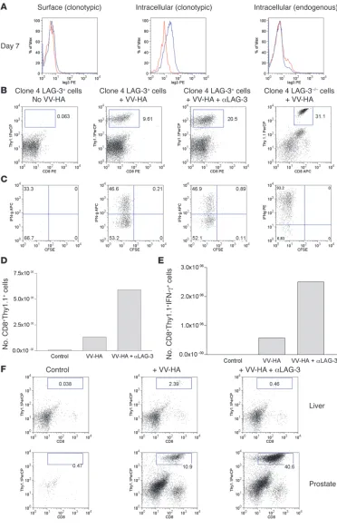 Figure 2LAG-3 blockade enhances the Thy1.1effectors within HA-producing prostates of ProHA mice