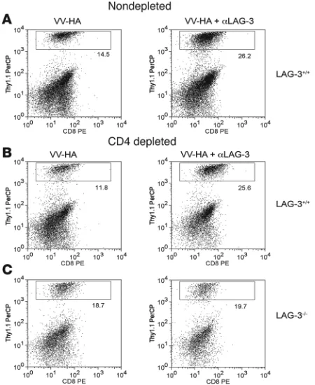 Figure 4Cellular mechanism of 