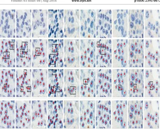 Fig. 5. Geometric centers of cells (seeds) detection on several randomly selected image patches