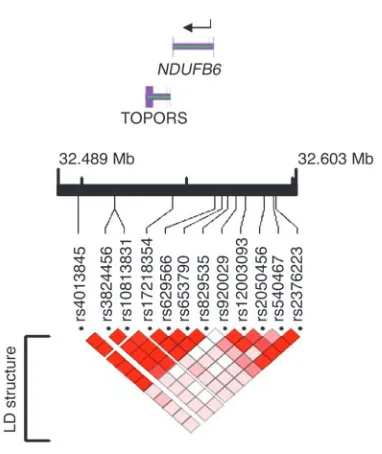 Figure 3Schematic presentation of the 