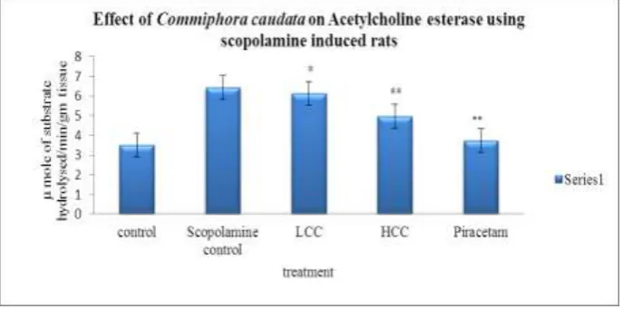 Fig. 4: Effect of Commiphora caudata on Acetylcholine esterase activity using scopolamine induced rats, n=6