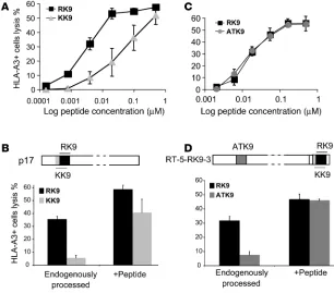 Figure 1The endogenous processing of an immunodominant Gag epitope is more efficient than dominant RK9 (squares) and RT subdominant ATK9 (circles) peptide titration on HeLa-A3 cells