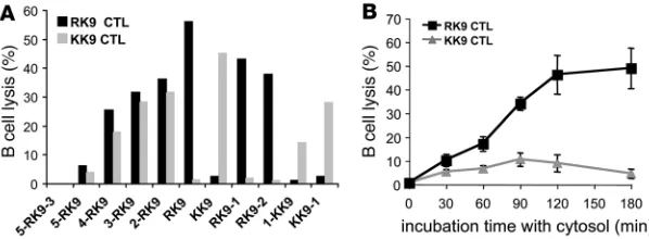 Figure 3The degradation products of a Gag sequence led to a strong RK9 CTL response and a 