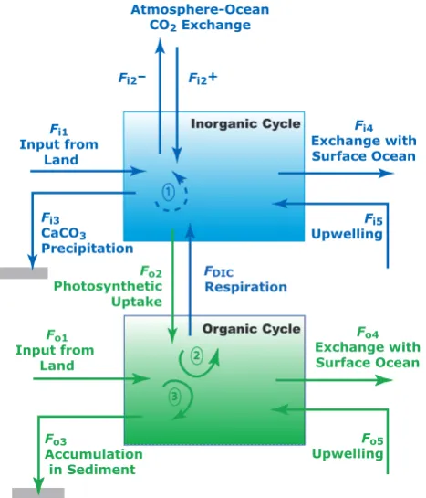 Fig. 3.Figure 3 Simpliﬁed two-box model of the coupled organic and in-organic carbon cycles in the coastal zone (from Mackenzie et al.,1998)