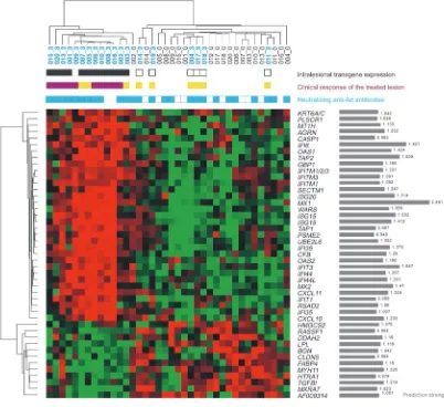 Figure 4Classification of the skin lesions using OR predictor genes. The heatmap was obtained by unsupervised hierarchical clustering of the baseline 