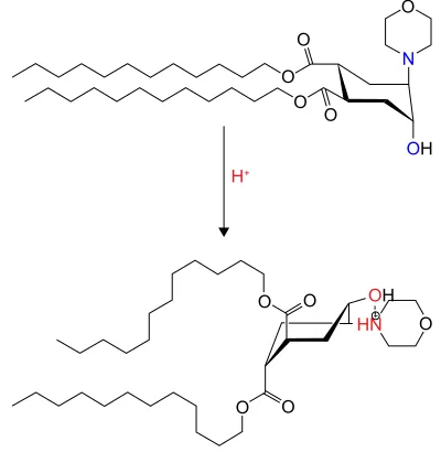 Figure 1 Scheme of pH-induced conformational flip of lipid trigger (TR).Abbreviation: TR, trans-4,5-didodecyloxycarbonyl-2-morpholinocyclohexanol.