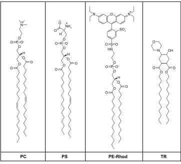 Table 1 Summary of the content of fliposomes used and their characterization