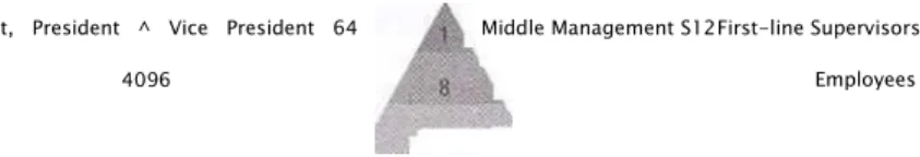 Figure 3-2: Span of Control after Downsizing 