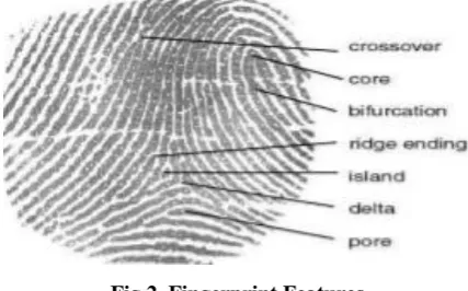 Fig 2. Fingerprint Features 
