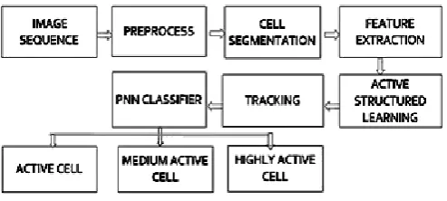 Fig. 1. Diagram of proposed system.  