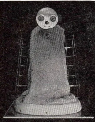 FIG. 3. Cloth mother surrogate.
