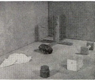 FIG. 18. Response in the open-field test in the absence of the mother surrogate.
