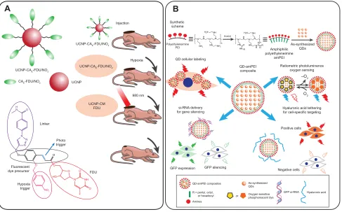 Figure 3 A schematic illustration of the UCNP-CAe-FDU/NO2 structure of the mechanism of hypoxia/NIR activating for tumor imaging and imaging-guided tumor therapy (A)