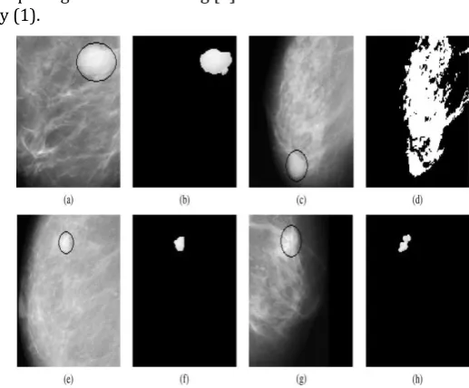 Fig.1. Adaptive global thresholding. Original images 