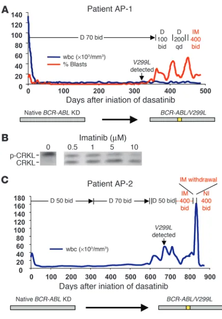 Figure 2The dasatinib-resistant 
