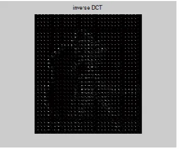 Figure 3(h): Inverse DCT  