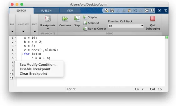 Figure 8.4: Setting a conditional breakpoint.