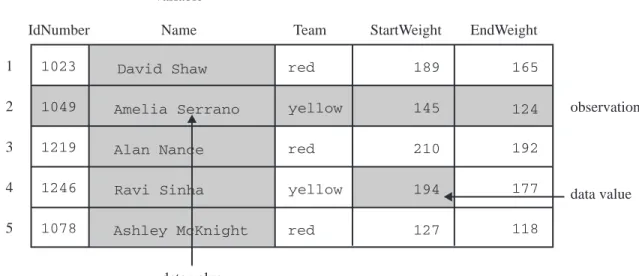 Figure 1.1 Rectangular Form of a SAS Data Set