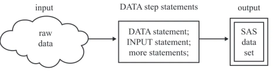 Figure 2.2 From Raw Data to a SAS Data Set
