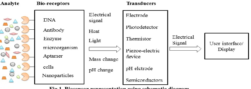 Fig 1. Biosensor representation using schematic diagram This technique is laid on the principle of current quantification produced by the oxidation and reduction of electro-active biomolecules