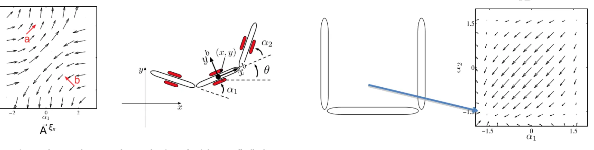 Figure 3.1: Connection vector ﬁelds for the three-link kinematic snake shown in Table