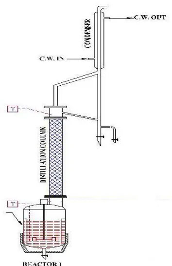 Figure 1:  Schematic diagram for the batch reactive distillation set up 