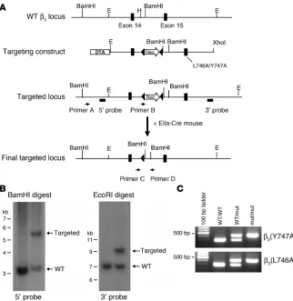 Figure 2Generation of 