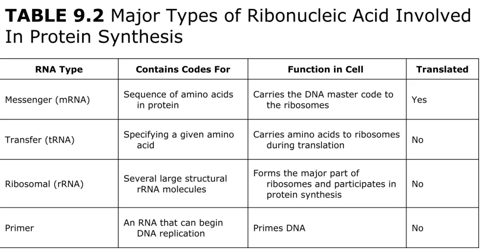 TABLE 9.2 Major Types of Ribonucleic Acid Involved  In Protein Synthesis